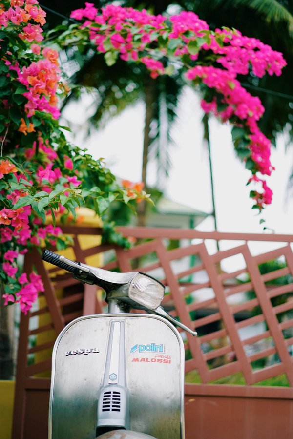 Décoration thématique dolce vita : créez une ambiance italienne inoubliable